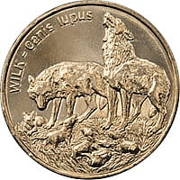 2 zł Wilk - Canis lupus