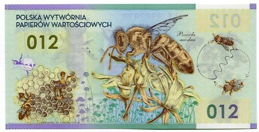 Banknot testowy PWPW Pszczoła 012