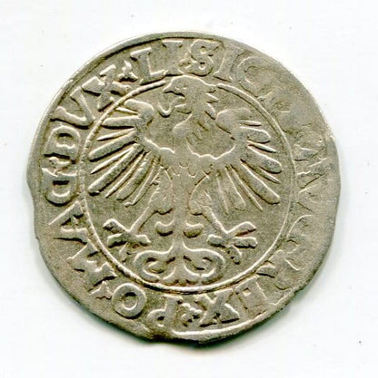 Półgrosz Litewski 1556 r. Zygmunt II August