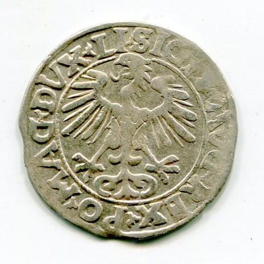 Półgrosz Litewski 1556 r. Zygmunt II August