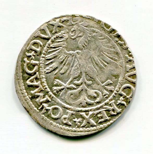 Półgrosz Litewski 1561 r. Zygmunt II August