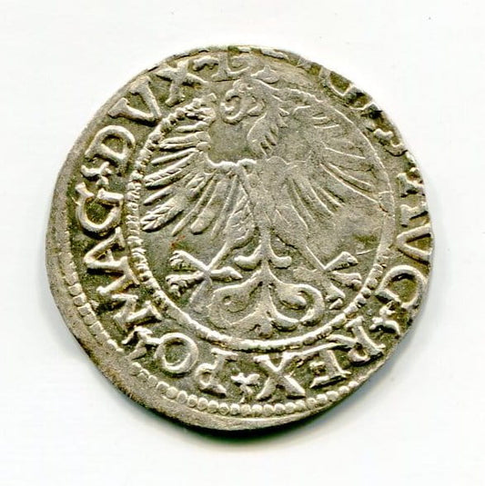 Półgrosz Litewski 1561 r. Zygmunt II August