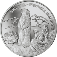 20 zł Ag Zwierzęta świata – Świstak (łac. Marmota marmota)