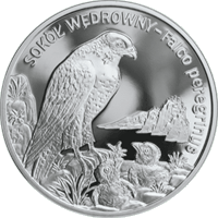 20 zł Ag Zwierzęta świata - Sokół wędrowny (łac. Falco peregrinus)
