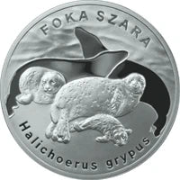 20 zł Ag Zwierzęta świata - Foka szara 2007 r.