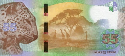 Banknot testowy PWPW Africa 55