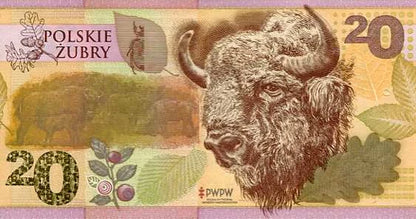 Banknot testowy PWPW Polskie Żubry