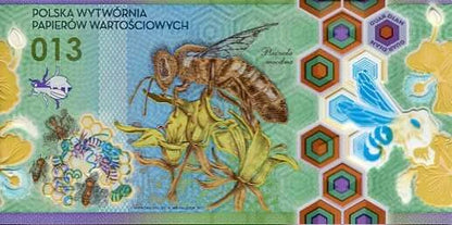 Banknot testowy PWPW Pszczoła Miodna 013