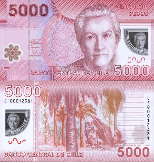 Chile 5000 Pesos 2021 r. Polimer UNC