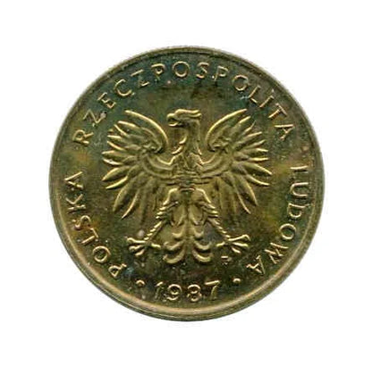 Polska 5 Złotych 1987 r.